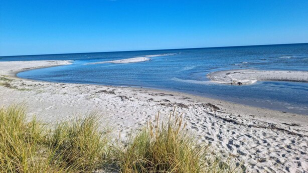 A beach with clear blue water, sandy shore, and sparse vegetation. - 4 Star Holiday Home in Hals (Hals)