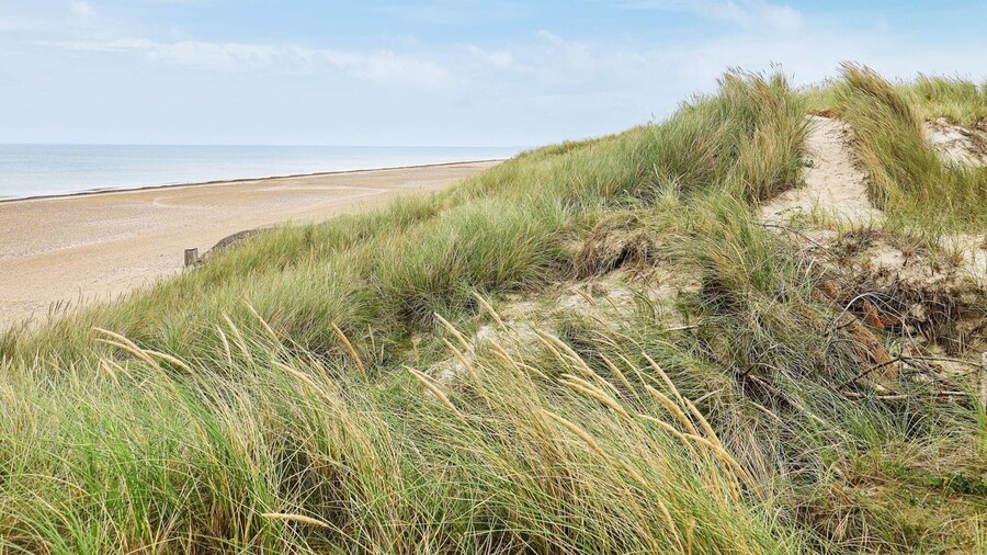 Seaside Serenity in Taysinge-by Traum