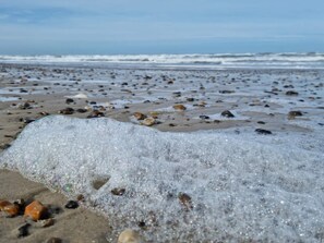 A beach with scattered rocks and foamy waves. - 5 Star Holiday Home in Fjerritslev (Fjerritslev)
