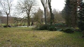 House | Property grounds