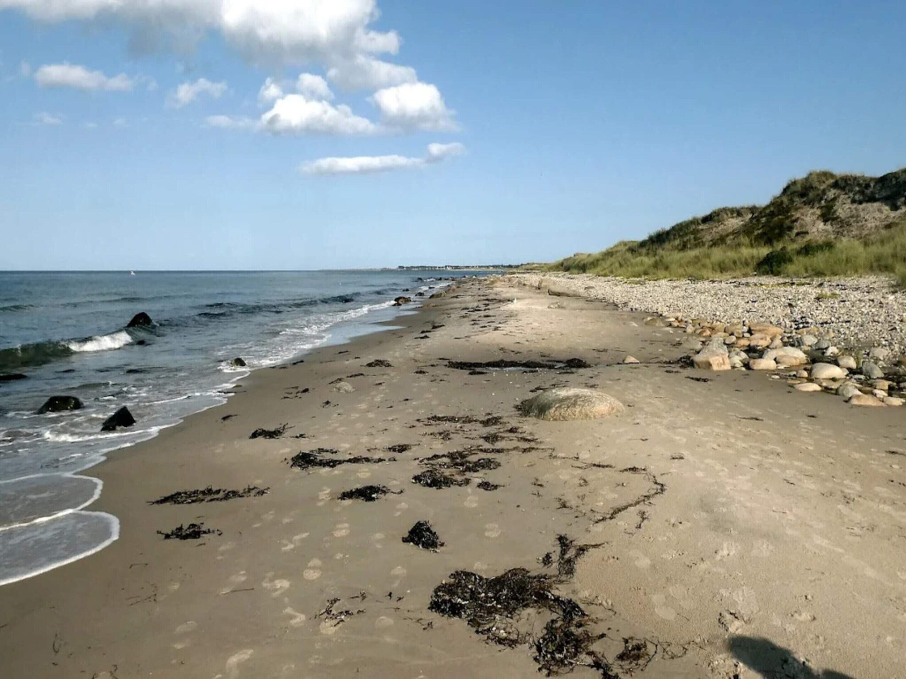 Une plage de sable parsemée de rochers et d’algues, un ciel dégagé et une vue lointaine sur l’océan.