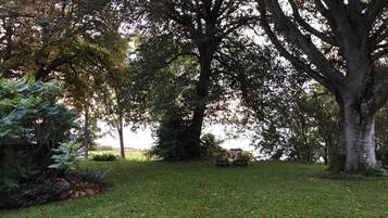 House | Property grounds