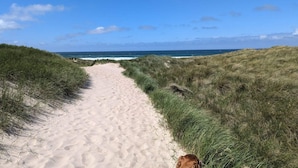 En sandstig som leder ner till stranden, omgiven av gräsklädda sanddyner.