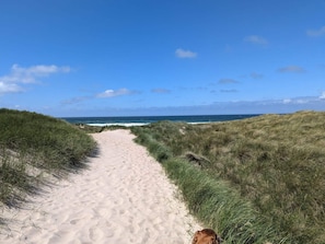 A sandy path leading to the beach, surrounded by grassy dunes.