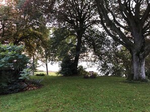 A grassy area with a large tree and a bench. - 4 Star Holiday Home in Thyholm (Thyholm)