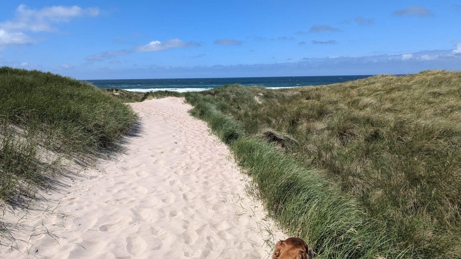 6 Person Holiday Home in Thyholm