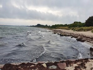 Ein Strand mit Wellen, einem sandigen Ufer und bewaldeter Landschaft im Hintergrund.