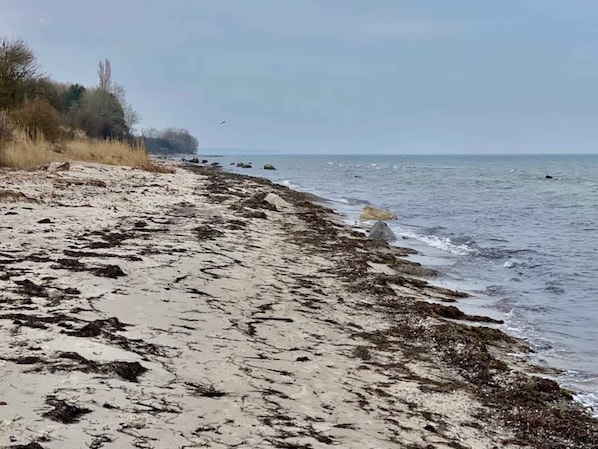 A beach with a sandy shore and seaweed.