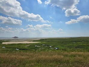 House | Miscellaneous