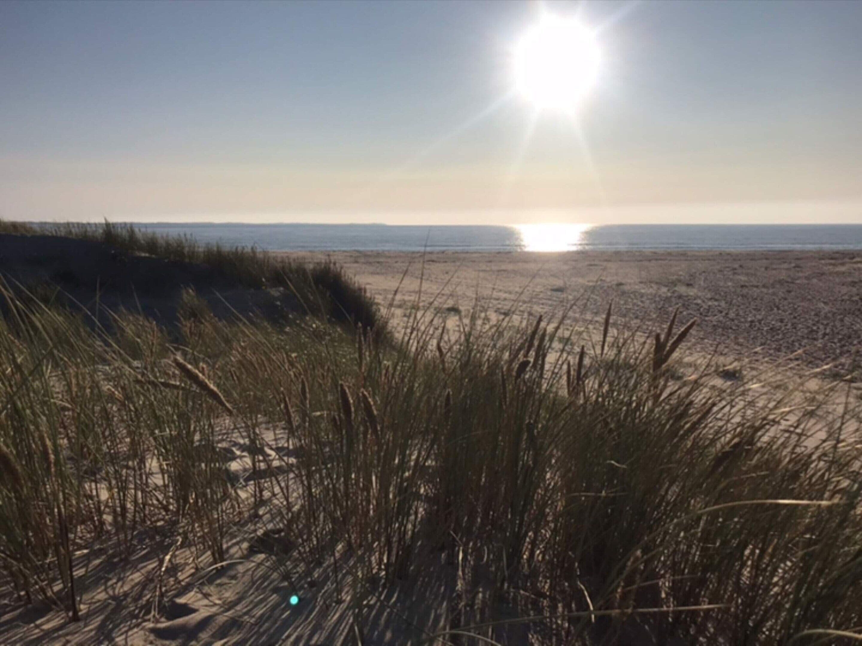 Ein Strand mit Dünen und blauem Himmel.
