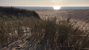 Een strand met duinen en een heldere lucht.