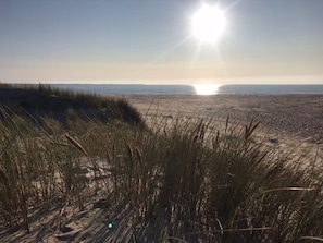 Une plage avec des dunes de sable et un ciel dégagé.