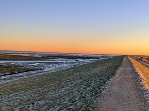 House | Miscellaneous