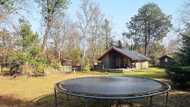 A trampoline in a yard with a wooden cabin and trees in the background.