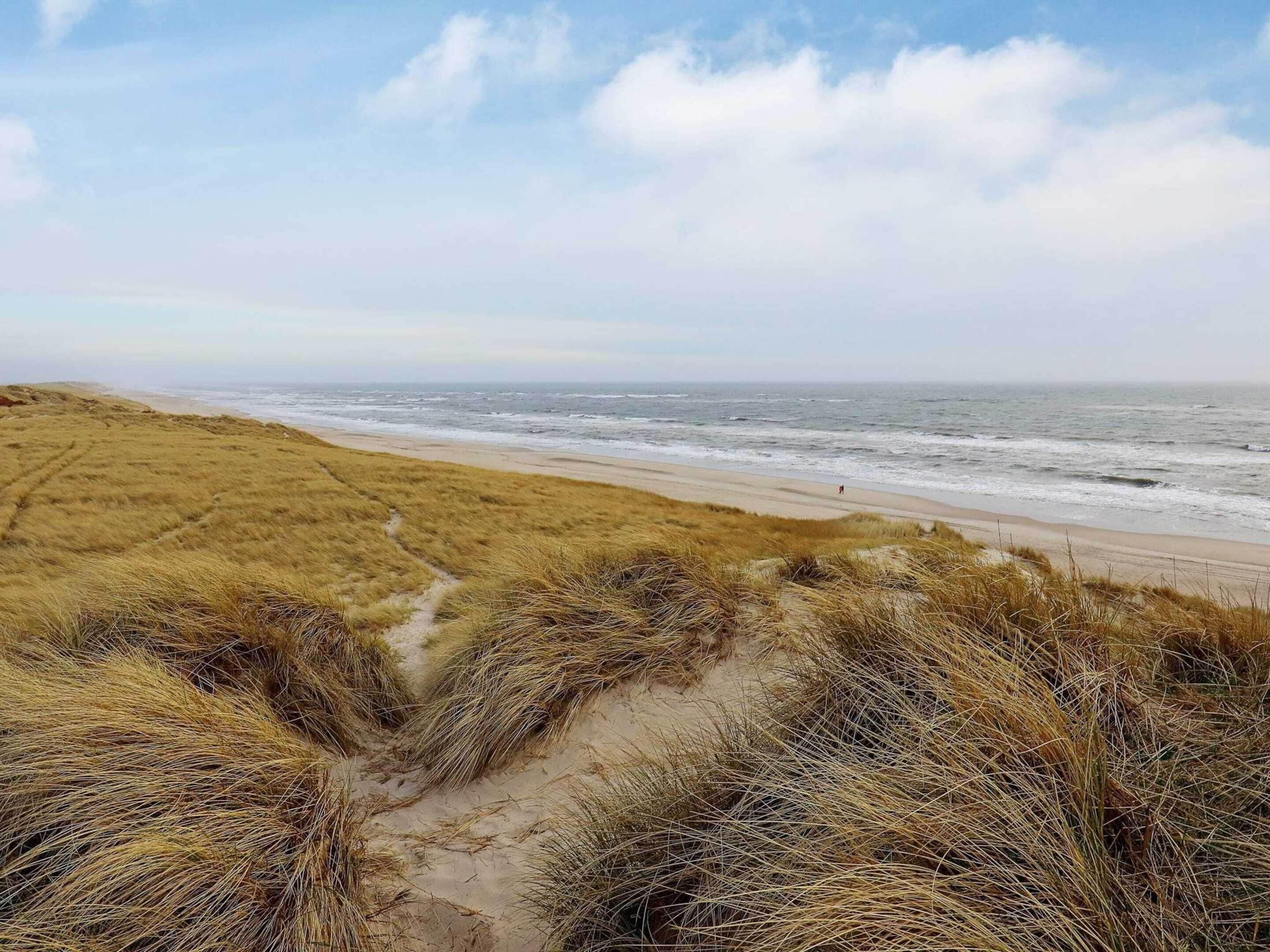 Huis | Strand
