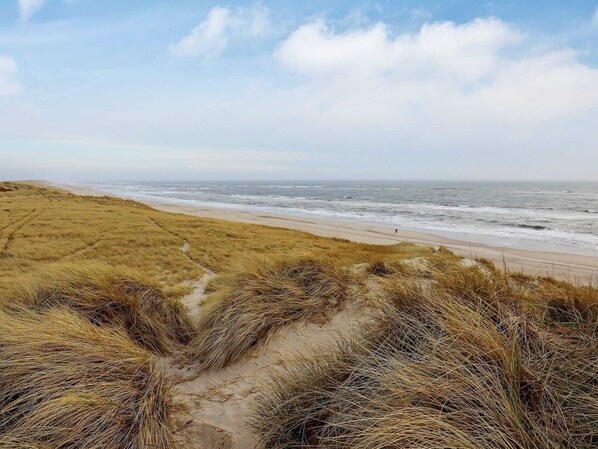 Maison | Plage
