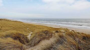 House | Beach