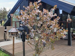 Maison | Vue depuis l’hébergement