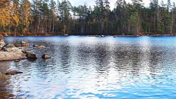 Un lago tranquilo rodeado de árboles y una orilla rocosa.