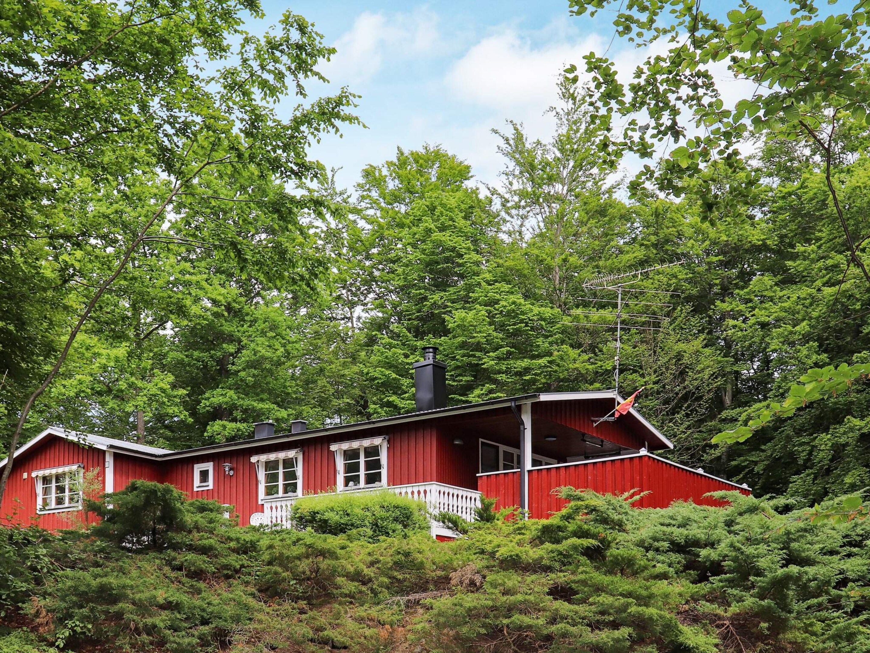 A red wooden house surrounded by dense green foliage.
