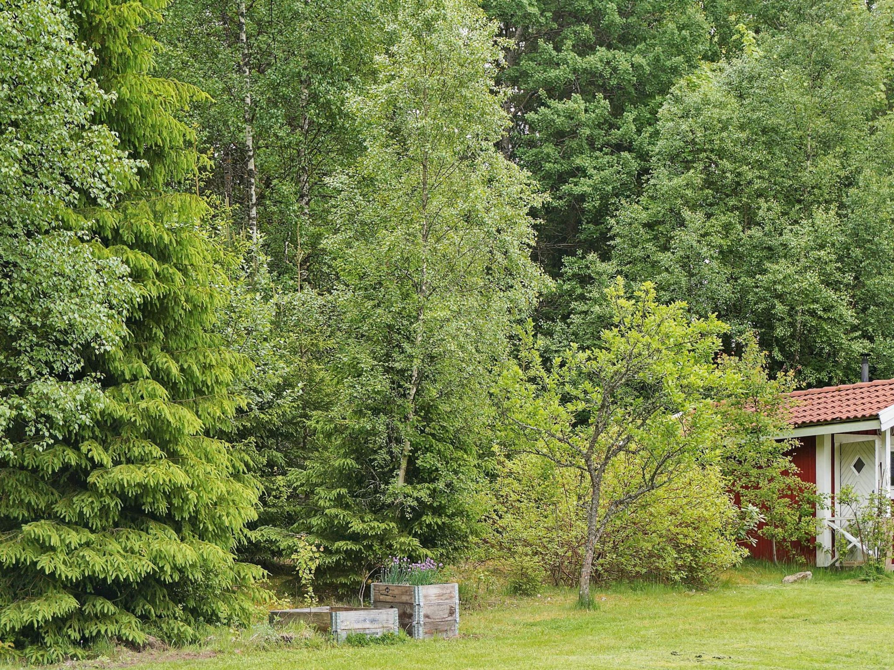 A rural landscape with dense trees and a red-roofed building.