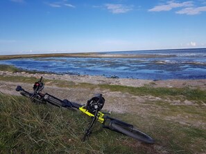 A bicycle parked on a grassy area with a view of a water body and distant landscape.