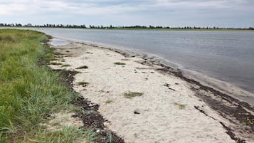 A sandy beach with grass and rocks, a body of water, and a distant line of trees under a cloudy sky.