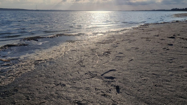 Una playa con huellas, un velero a lo lejos y un cielo nublado.