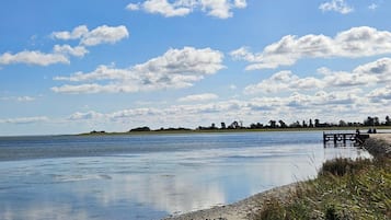 Un lago tranquilo con un muelle de madera que se adentra en el agua, rodeado de orillas cubiertas de hierba y árboles a lo lejos.