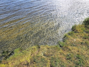On peut clairement voir un lac, avec de légères ondulations à sa surface et une rive bordée d’herbe.