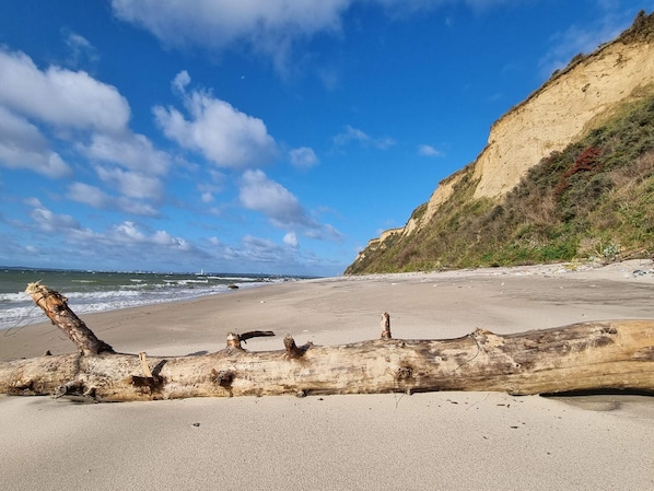 A beach with a large log in the foreground, a sandy shore, and a cliff with vegetation.