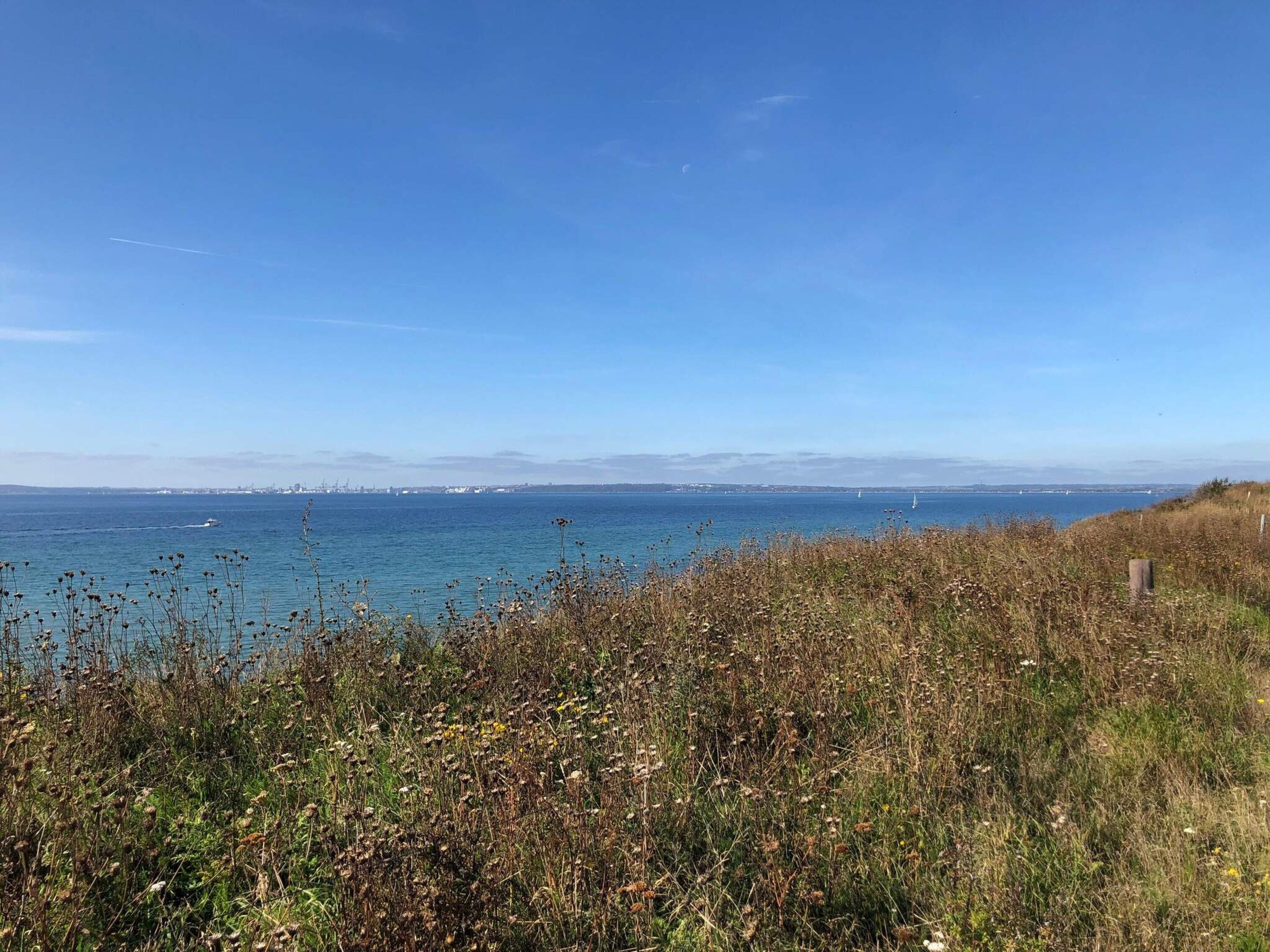 A coastal landscape with a clear sky, a body of water, and a distant city skyline.