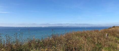 A coastal landscape with a clear sky, a body of water, and a distant city skyline.
