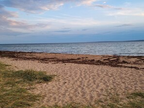 A beach with sand and seaweed, a clear sky, and distant land.