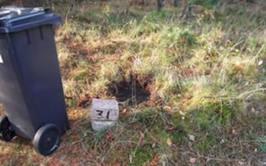 A black trash bin and a stone with '31' on it in a grassy area.