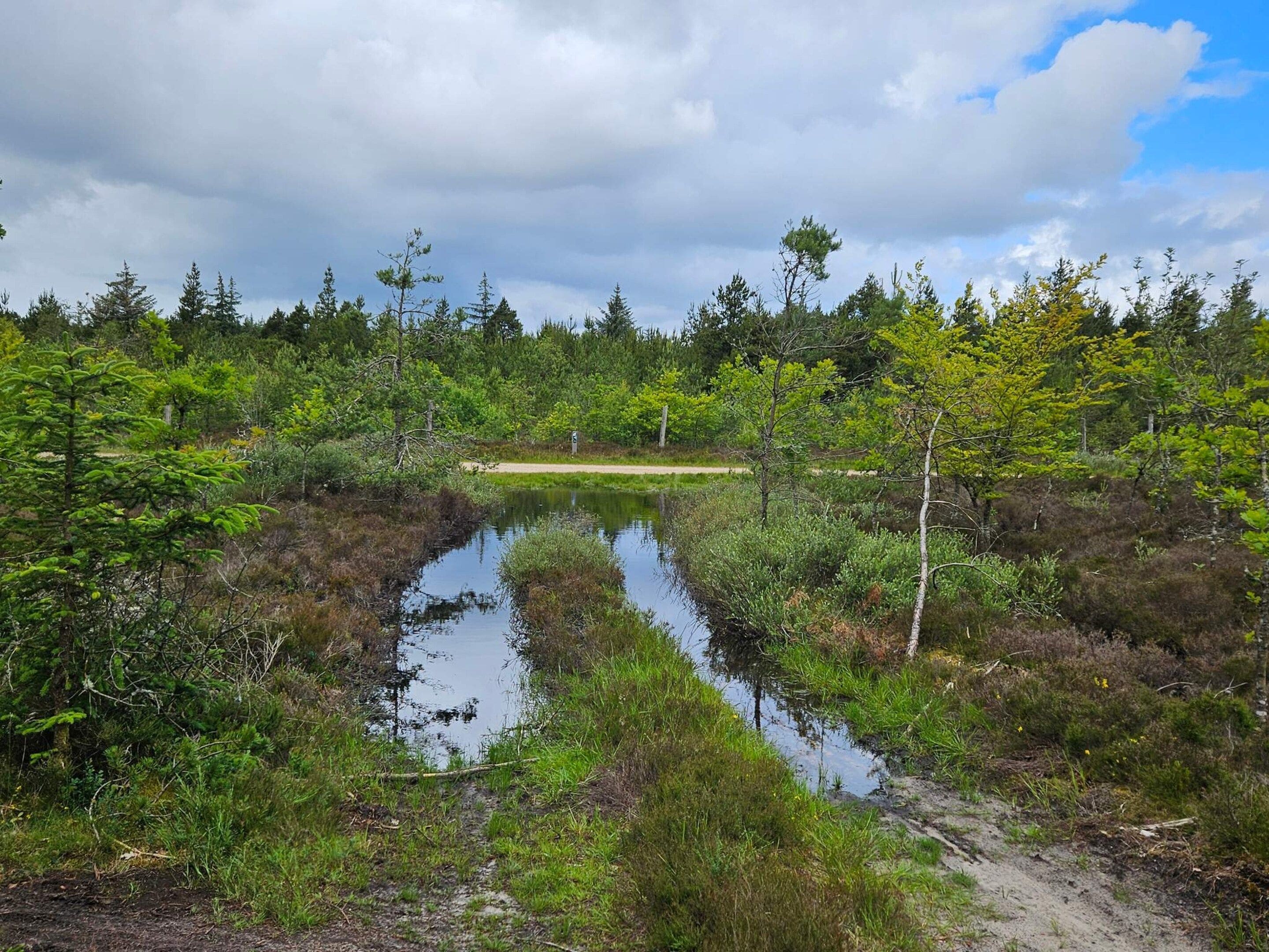 Un paysage naturel comprenant une étendue d’eau entourée d’une végétation dense et d’arbres.