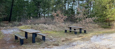 Two picnic tables in a forested area with a dirt path.