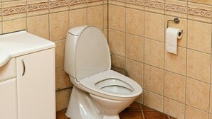 Bathroom - Holiday Home in Todalen (Surnadal)
