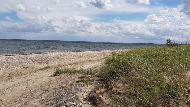 A beach with a pebbly shore, grassy dunes, and a calm sea under a partly cloudy sky.