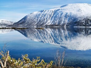 House | Lake view - Holiday Home in Gullesfjord (Kvæfjord)