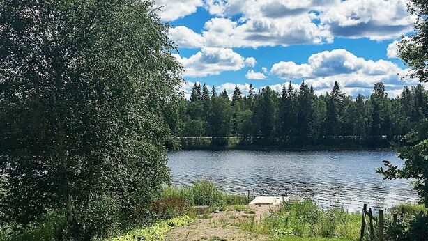 Un lac entouré d’arbres et une zone herbeuse délimitée par une clôture.