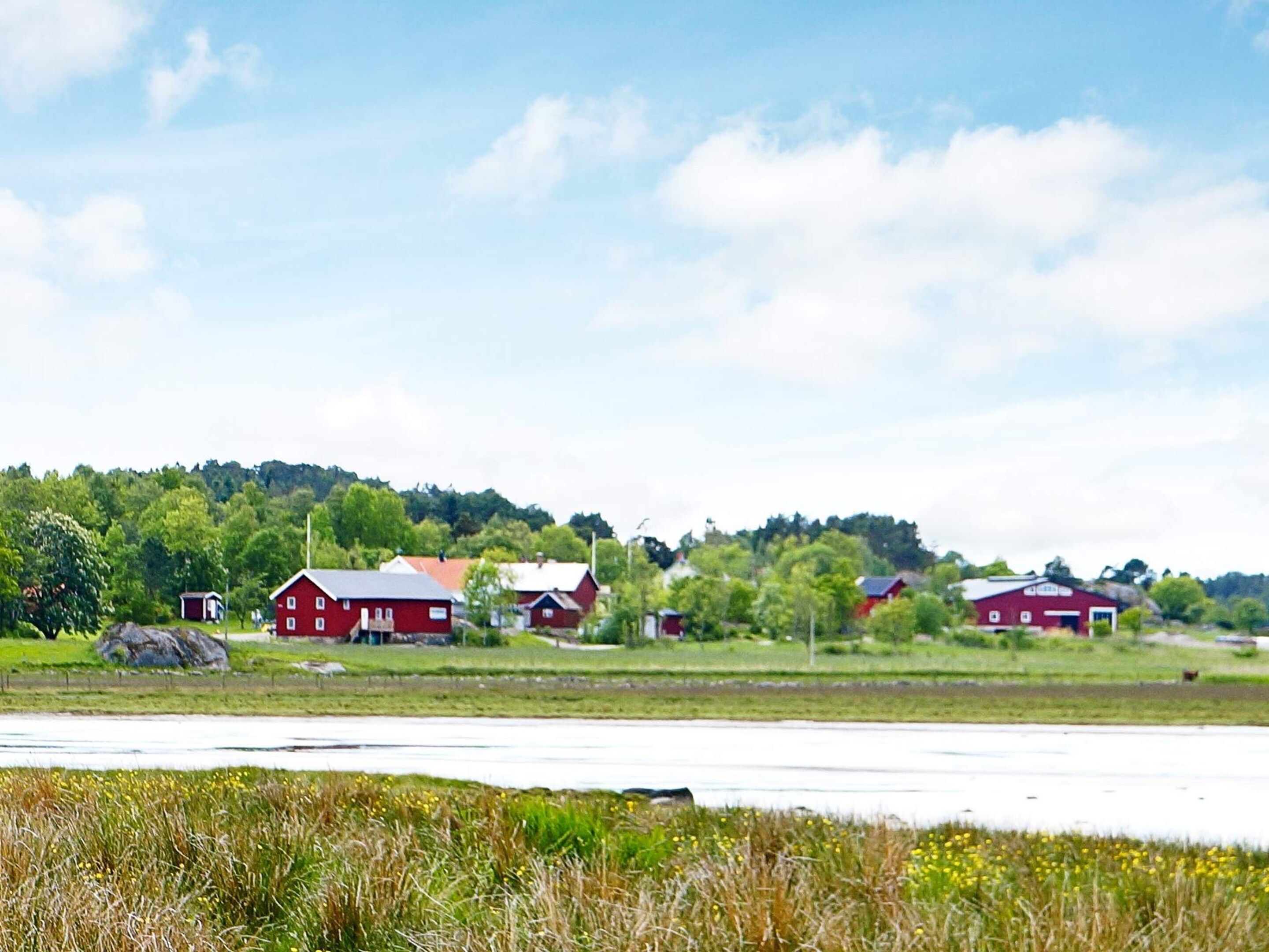 Ett lantligt landskap med flera röda byggnader, en vattenyta och en skogbeklädd kulle i bakgrunden.