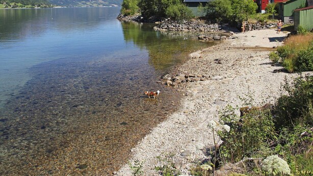 Une propriété située au bord du lac, offrant une vue dégagée sur celui-ci, avec une rive rocheuse et un bâtiment rouge.