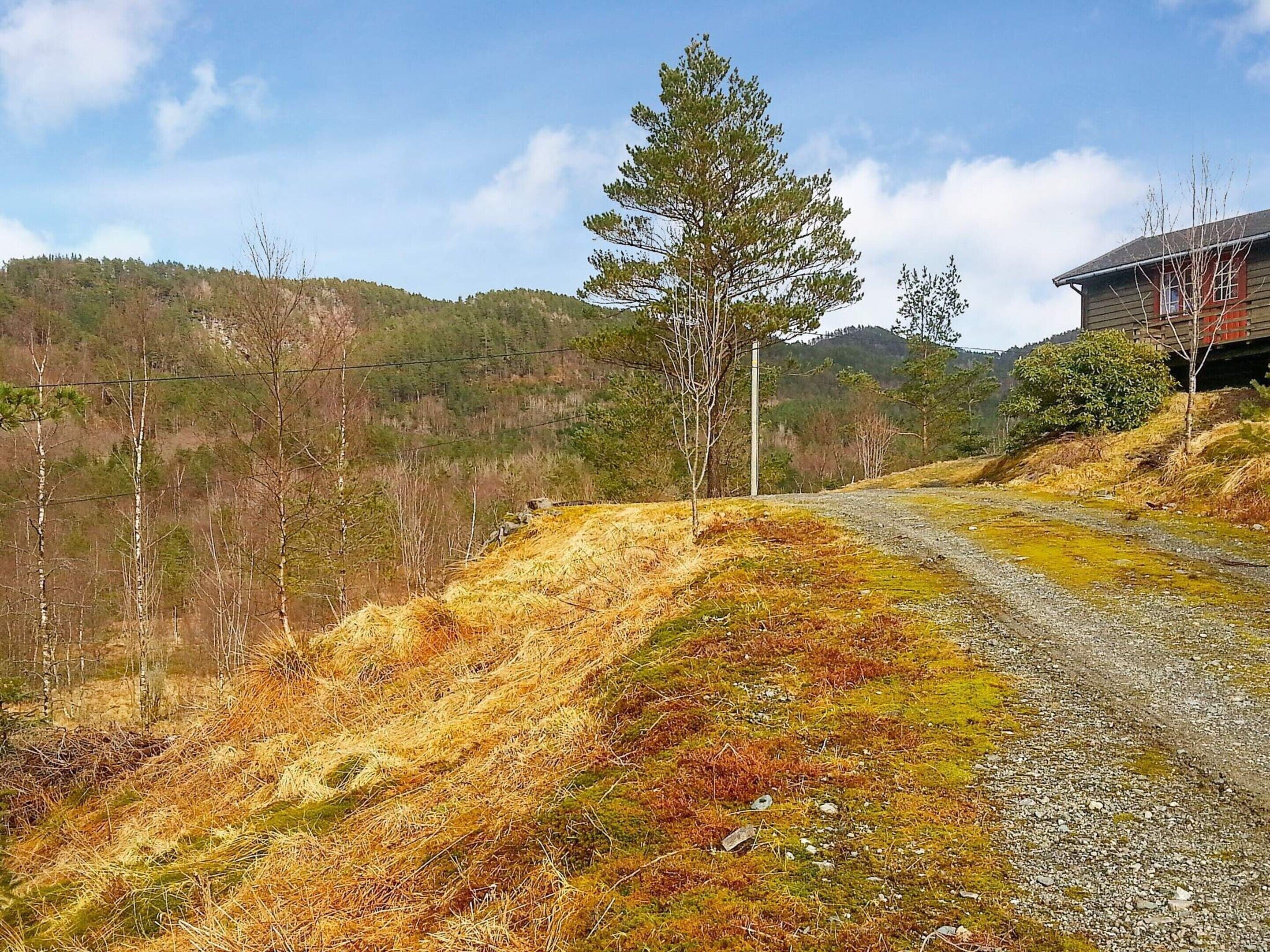 A rural landscape with a gravel path, a lone tree, and a building with red trim.