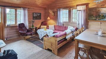 House | Living area | DVD player