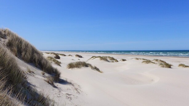 Une plage avec des dunes de sable et un ciel bleu dégagé.