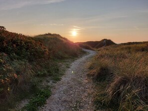 House | Miscellaneous