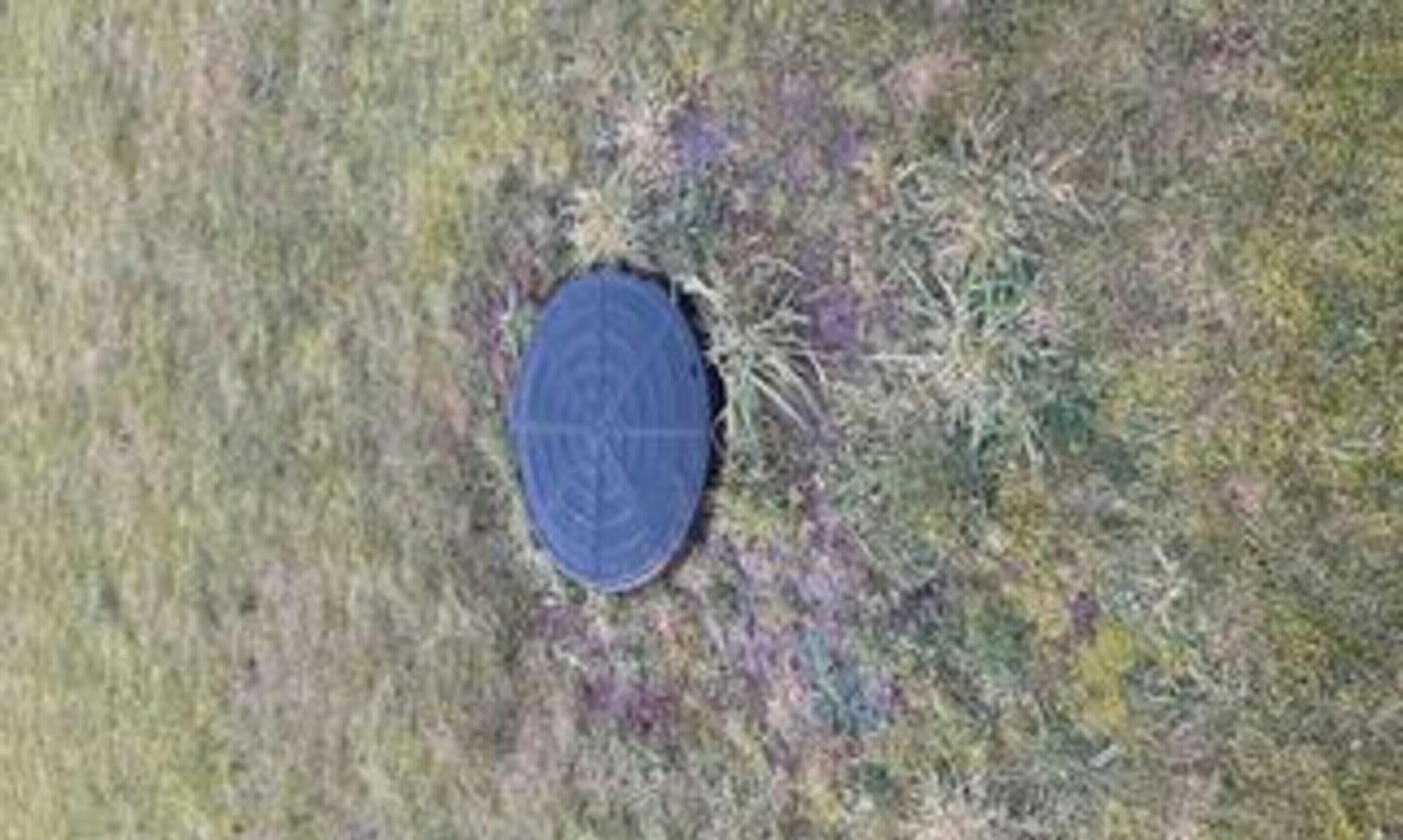 A circular object on a grassy field.