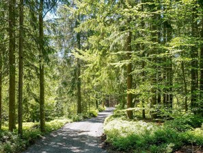 Ferienhaus | Außenbereich