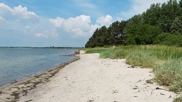Playa